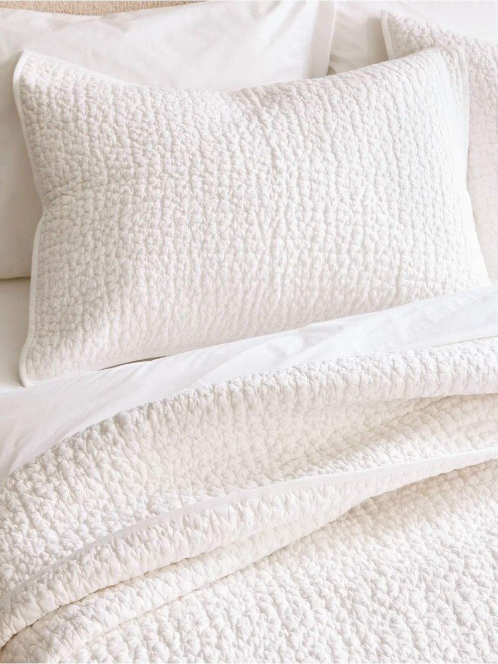 NEW Quince Organic Cotton Hand Stitched Quilted Shams, Standard (White) - Picture 4 of 4